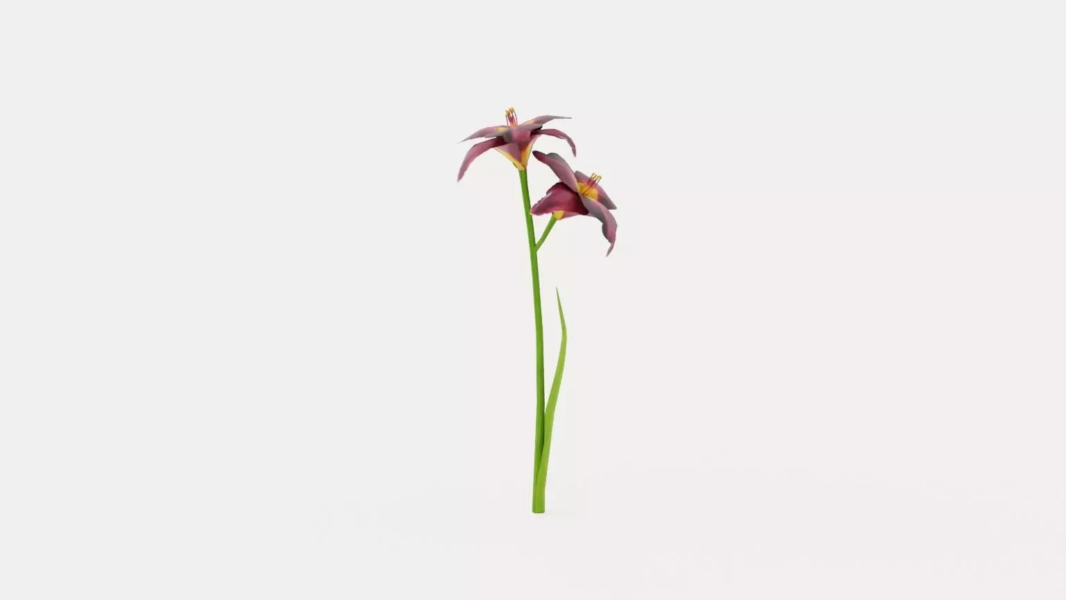 Bogeyman Daylily Low-poly 3D model_0