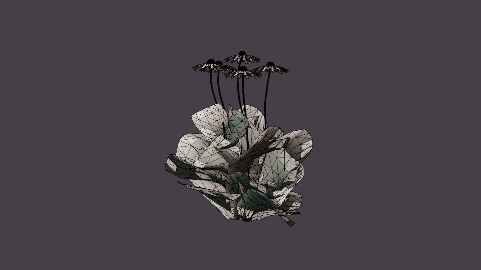 Purple Coneflower Low-poly 3D model_7