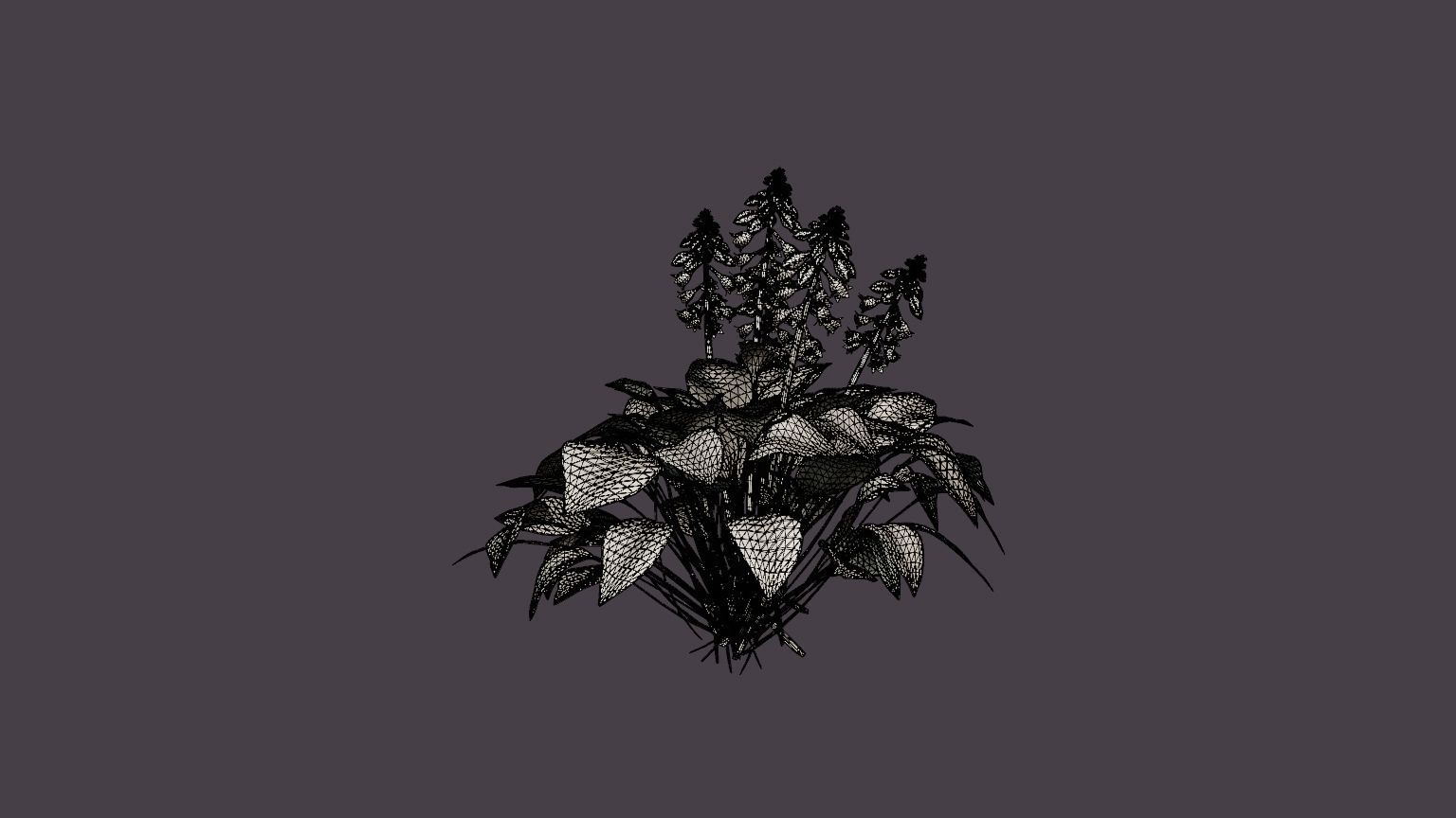 Blue Mouse Ears Hosta Low-poly 3D model_5