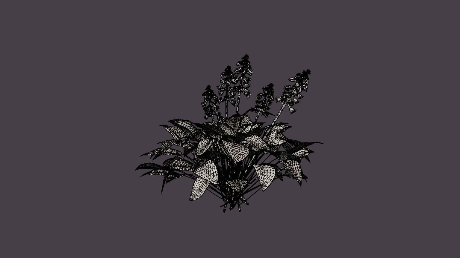 Blue Mouse Ears Hosta Low-poly 3D model_6