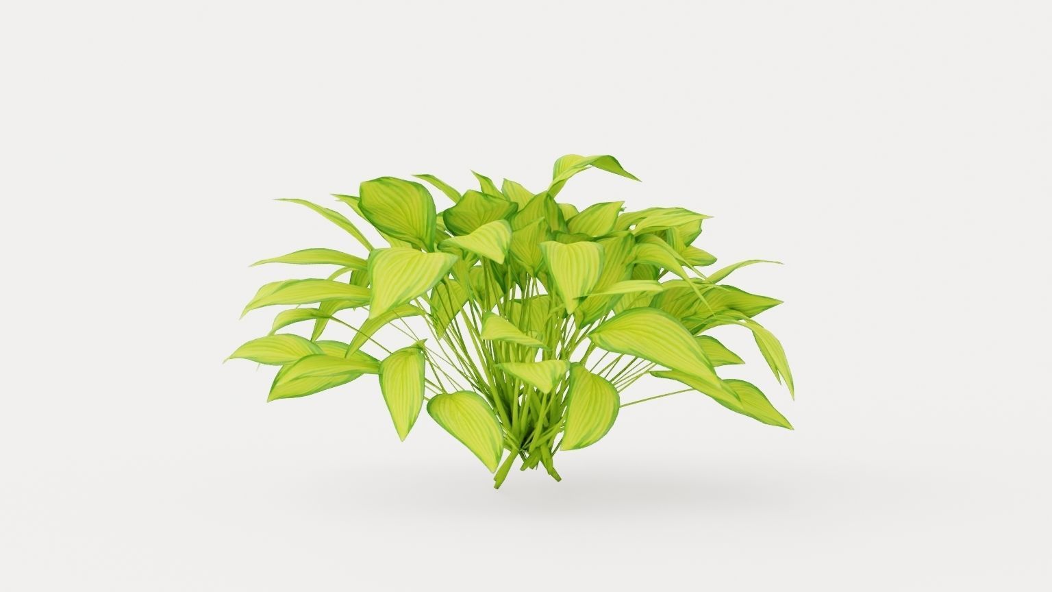 Stained Glass Hosta Low-poly 3D model_2
