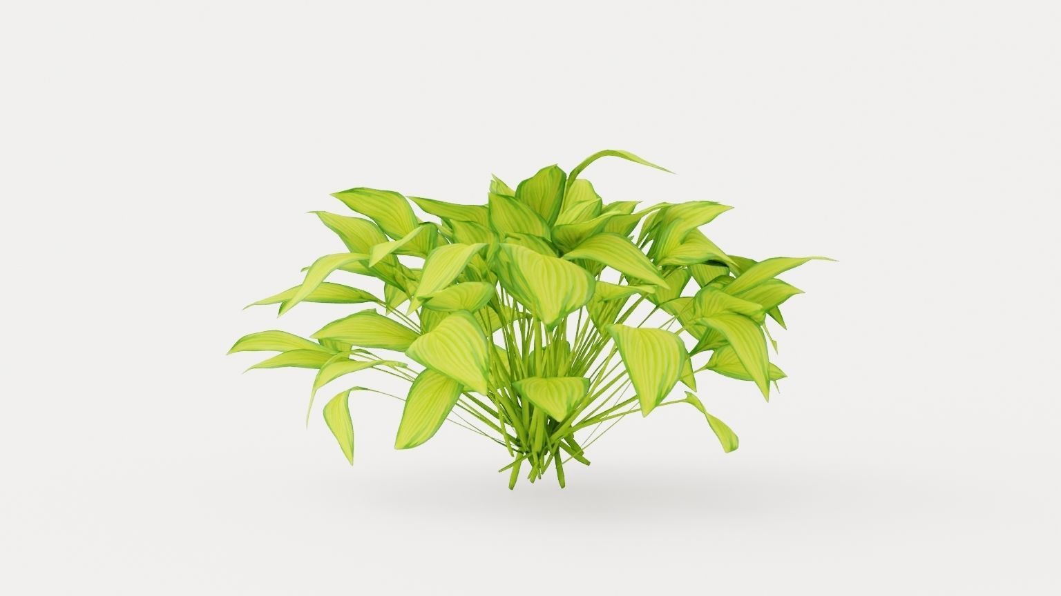 Stained Glass Hosta Low-poly 3D model_1