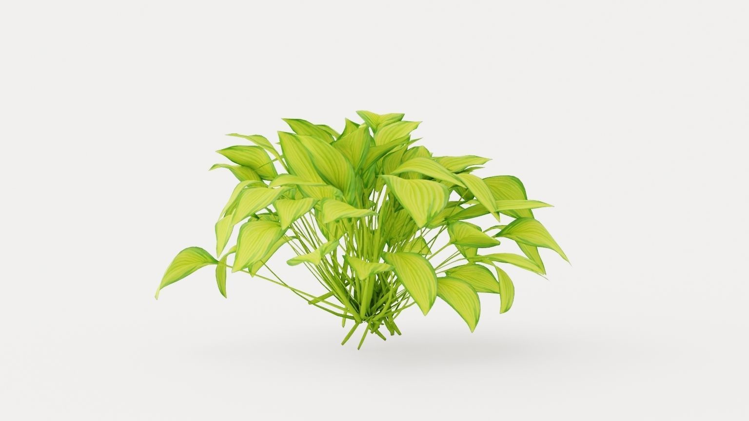 Stained Glass Hosta Low-poly 3D model_3