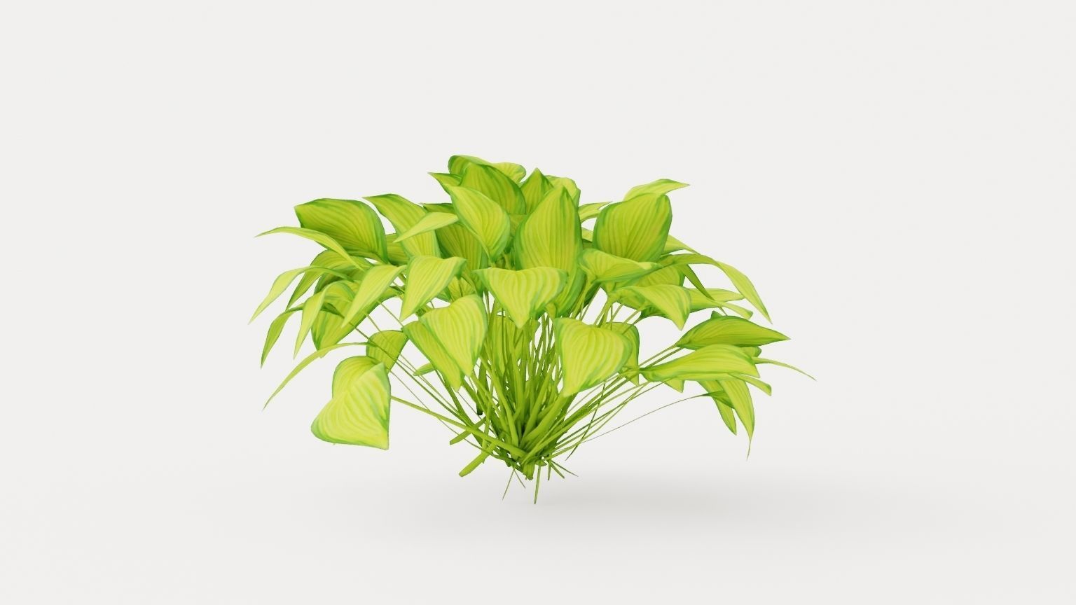 Stained Glass Hosta Low-poly 3D model_4