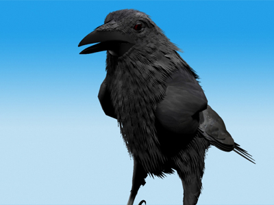 Crow Standing Model not rigged 3D model_5