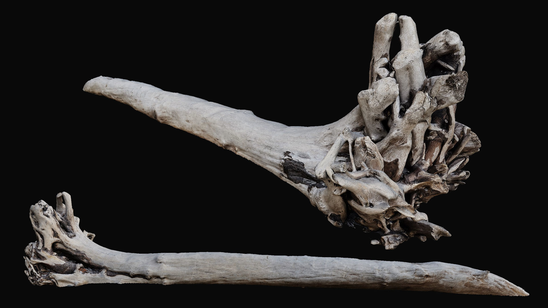 Driftwood Props for Unreal Nanite 3D model_5