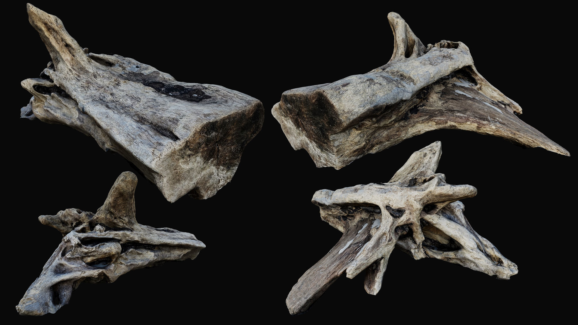 Driftwood Props for Unreal Nanite 3D model_9