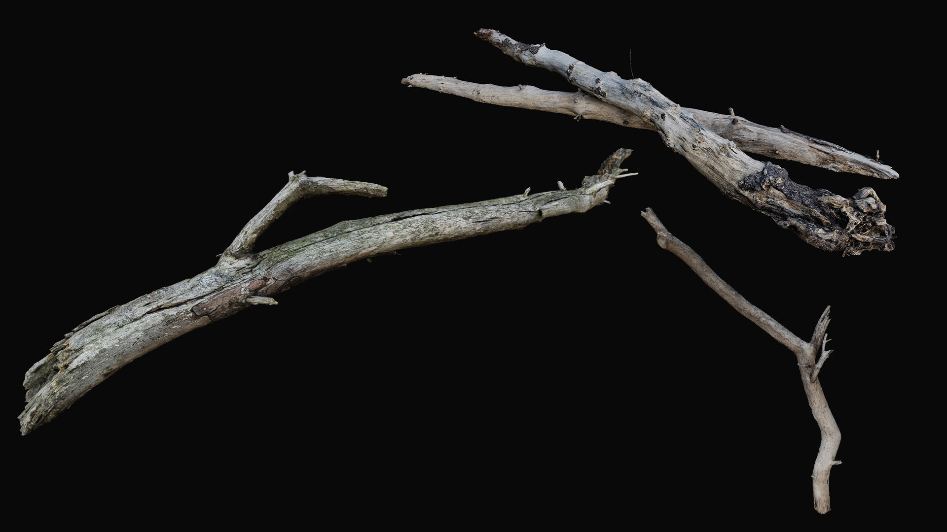 Driftwood Props for Unreal Nanite 3D model_18