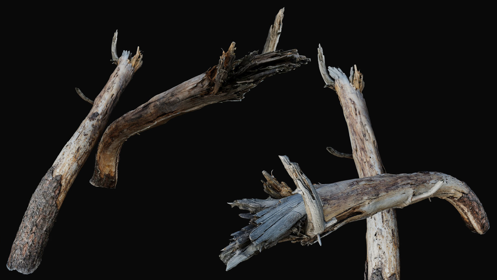 Driftwood Props for Unreal Nanite 3D model_19