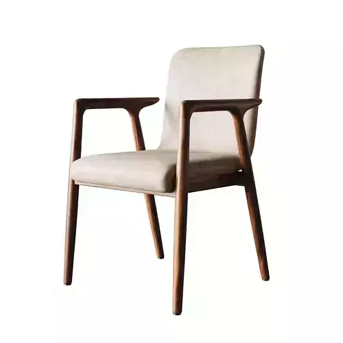 Chair Dining Chair  ID401
