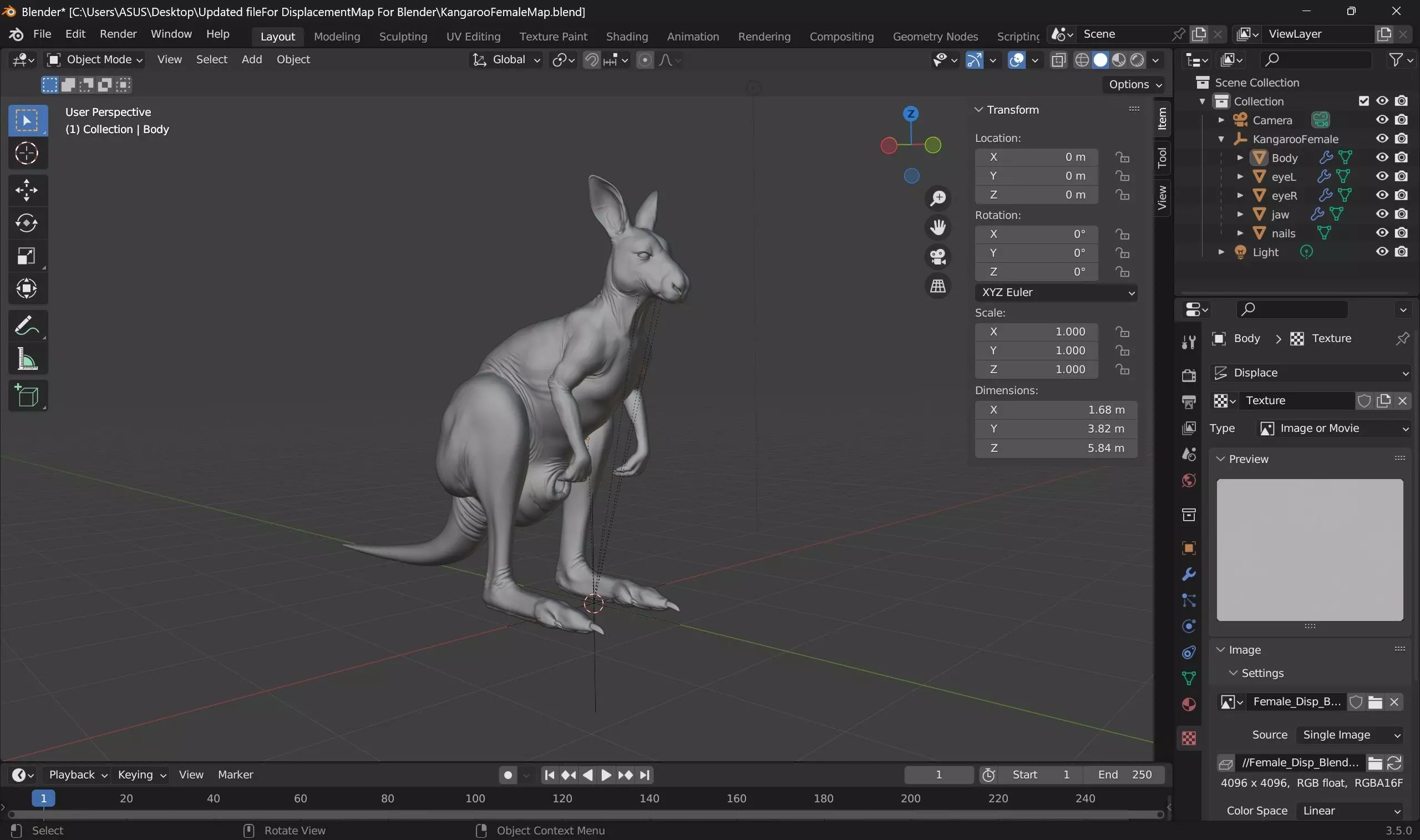 Kangaroo Female 3D model_7