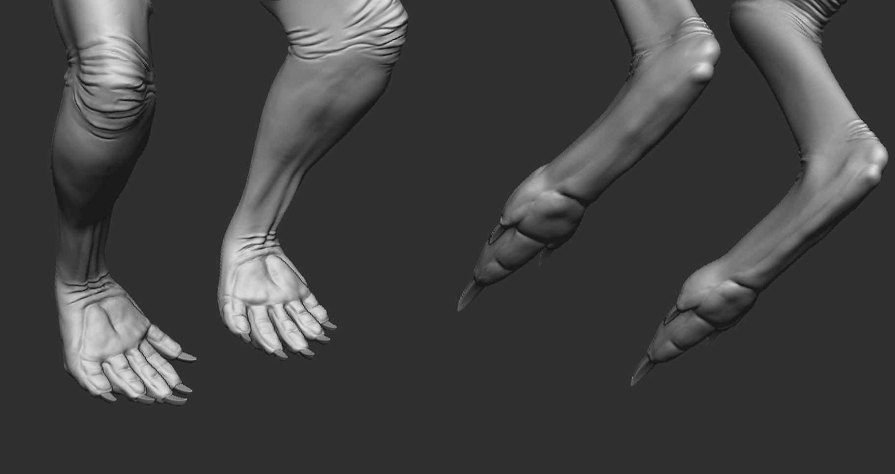 Kangaroo Female 3D model_1