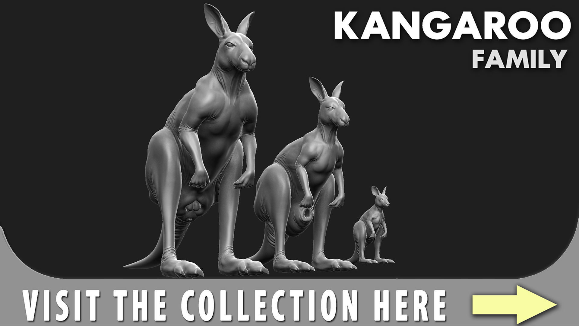 Kangaroo male 3D model_8