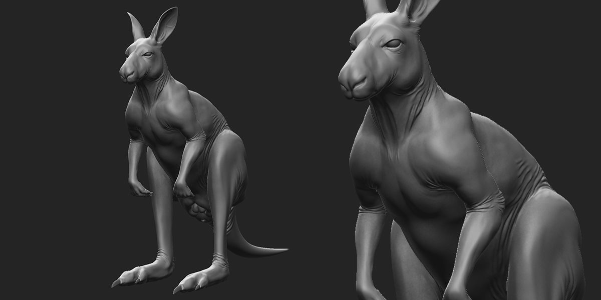 Kangaroo male 3D model_2
