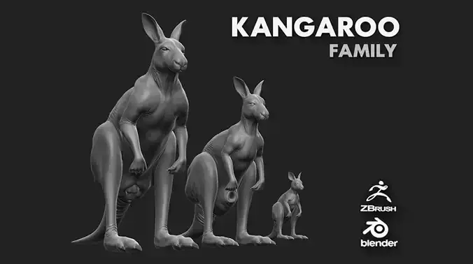 Kangaroo Family collection 