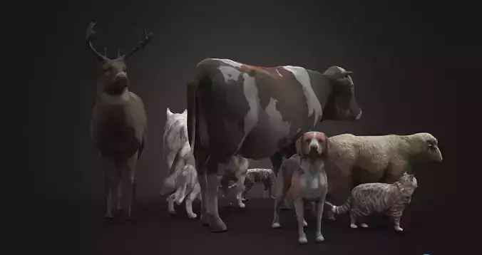 Animal Pack 