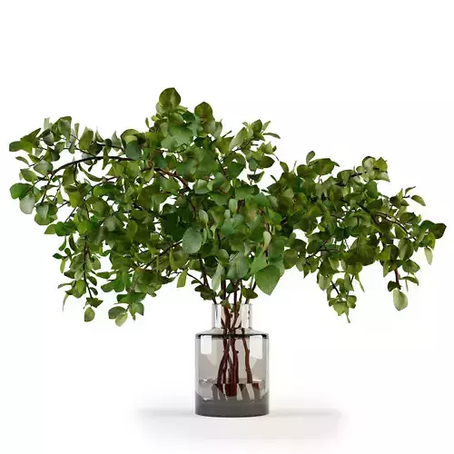 Branches in a vase 020