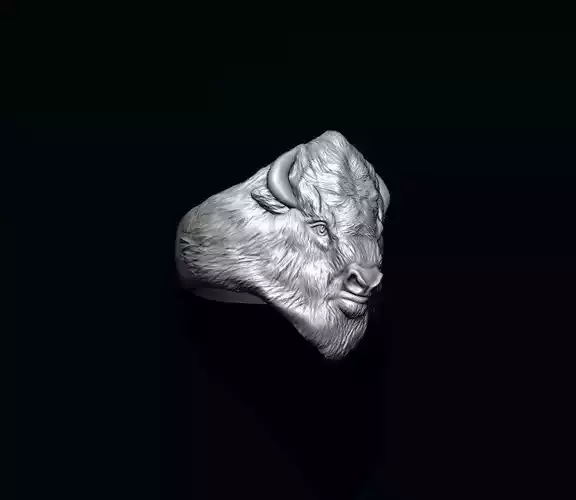 Buffalo ring