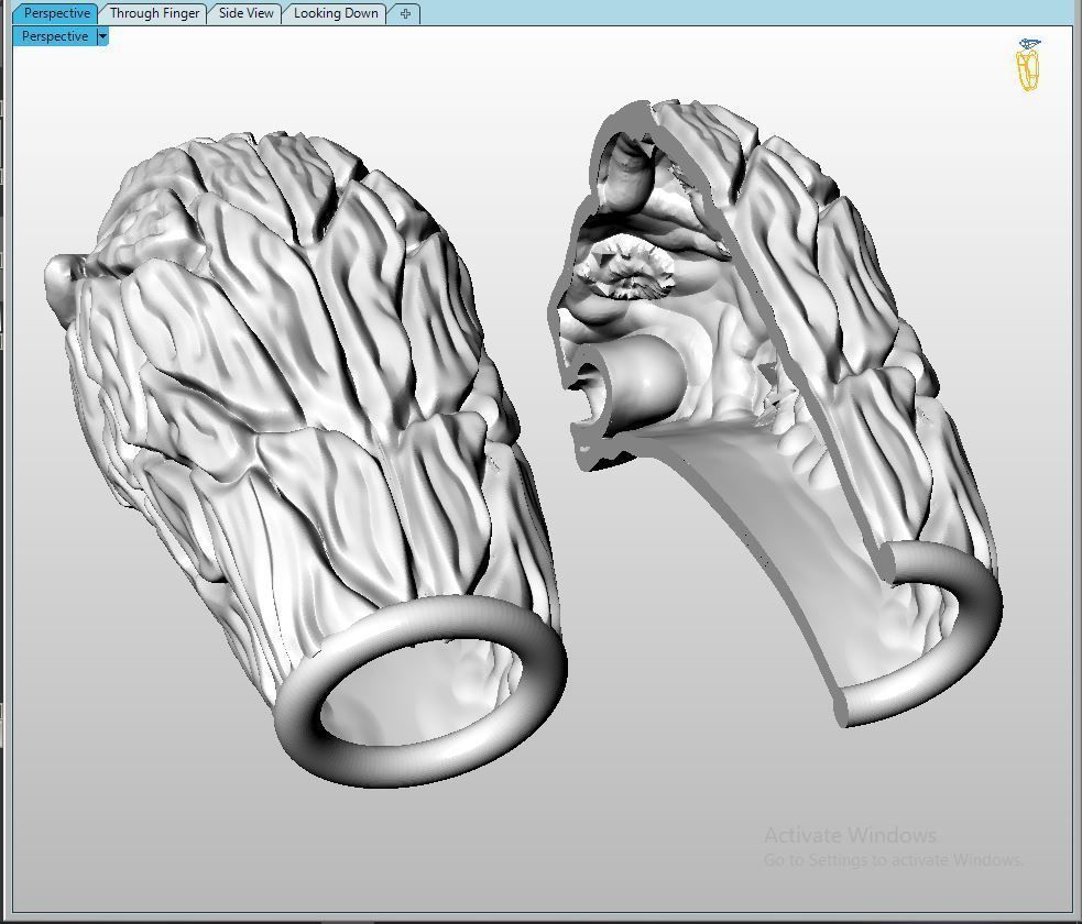 Lion 06 t complete fix 3D print model_4