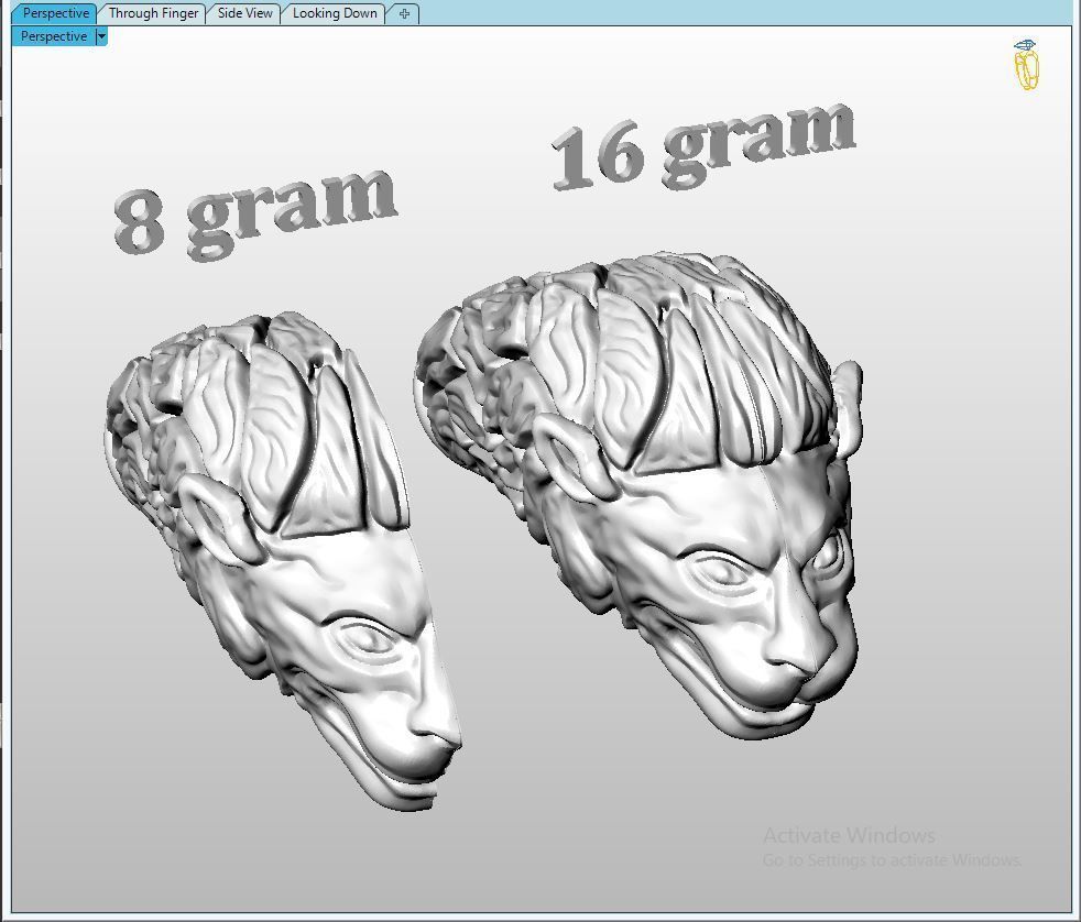Lion 06 t complete fix 3D print model_6