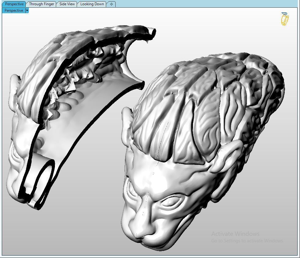 Lion 06 t complete fix 3D print model_2