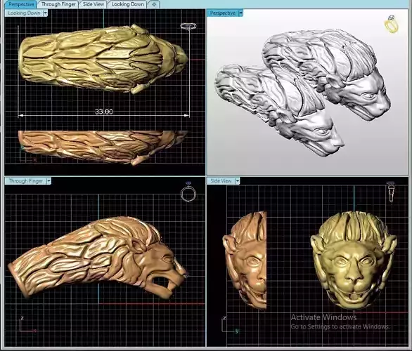 Lion 06 t complete fix