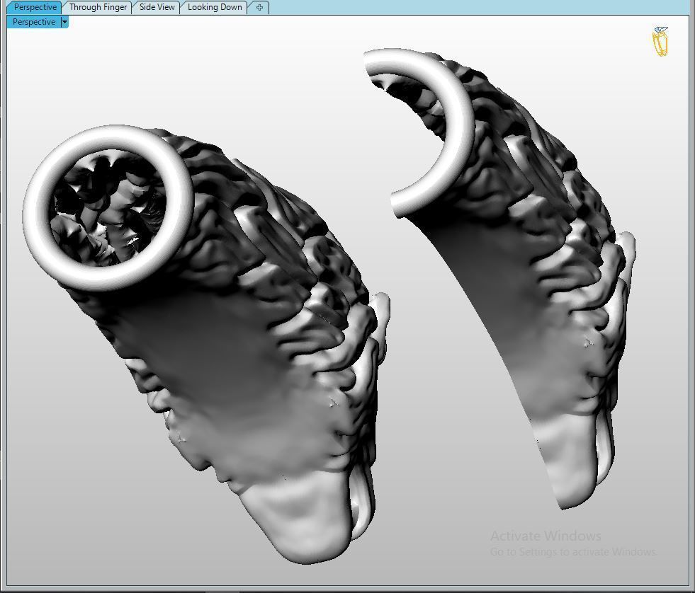 Lion 06 t complete fix 3D print model_3