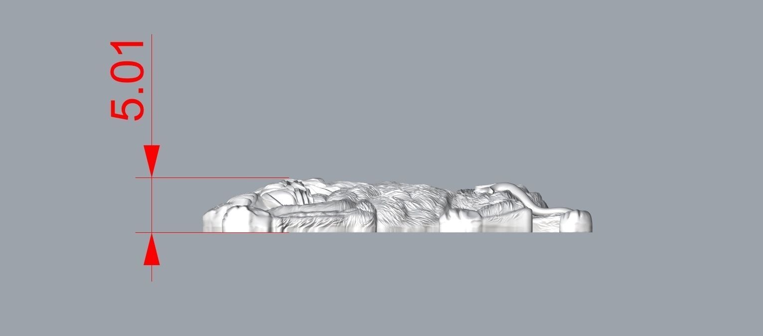 Lion money clip N1 3D print model_18