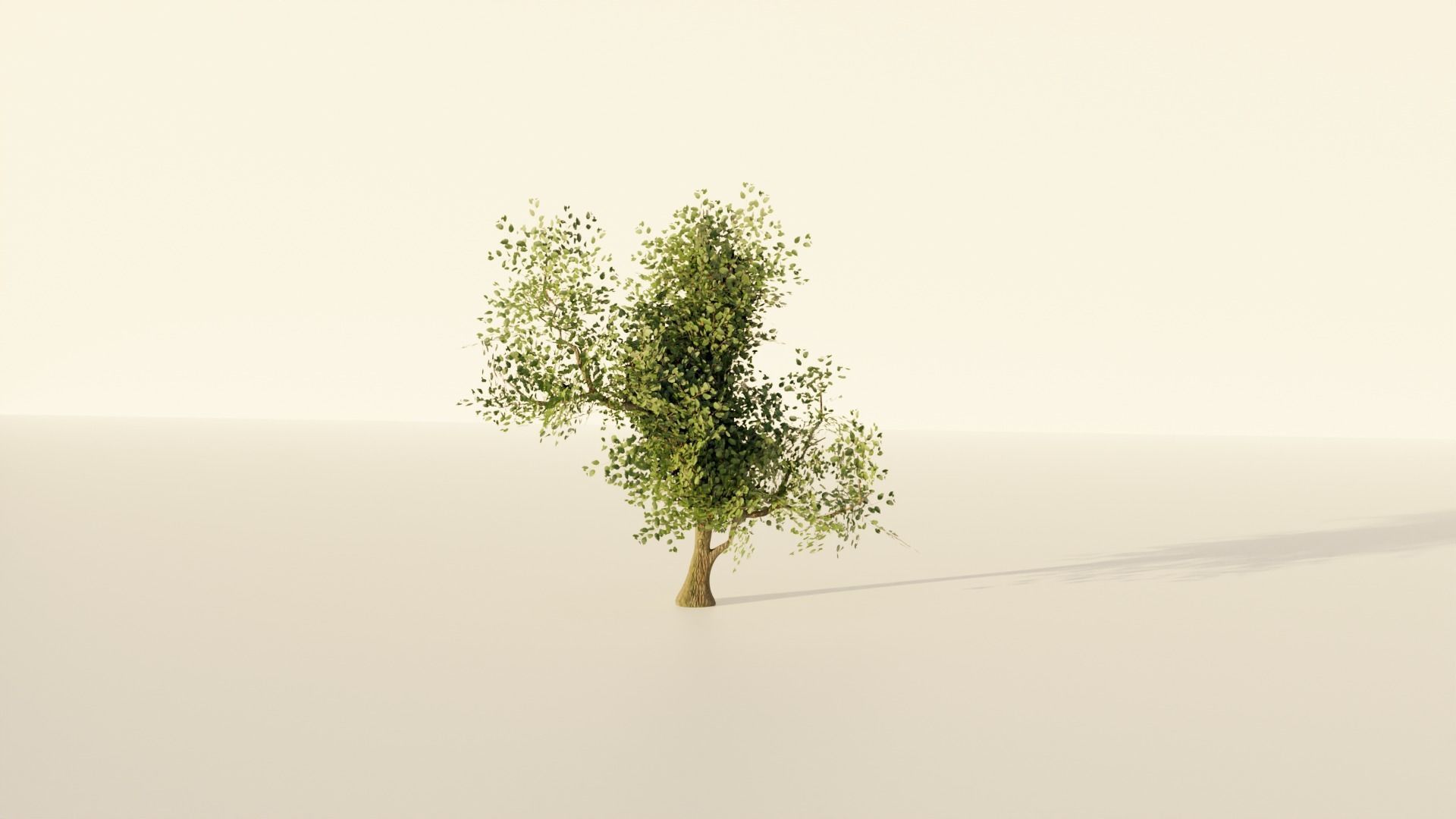 3D Tree Model Free 3D model_1
