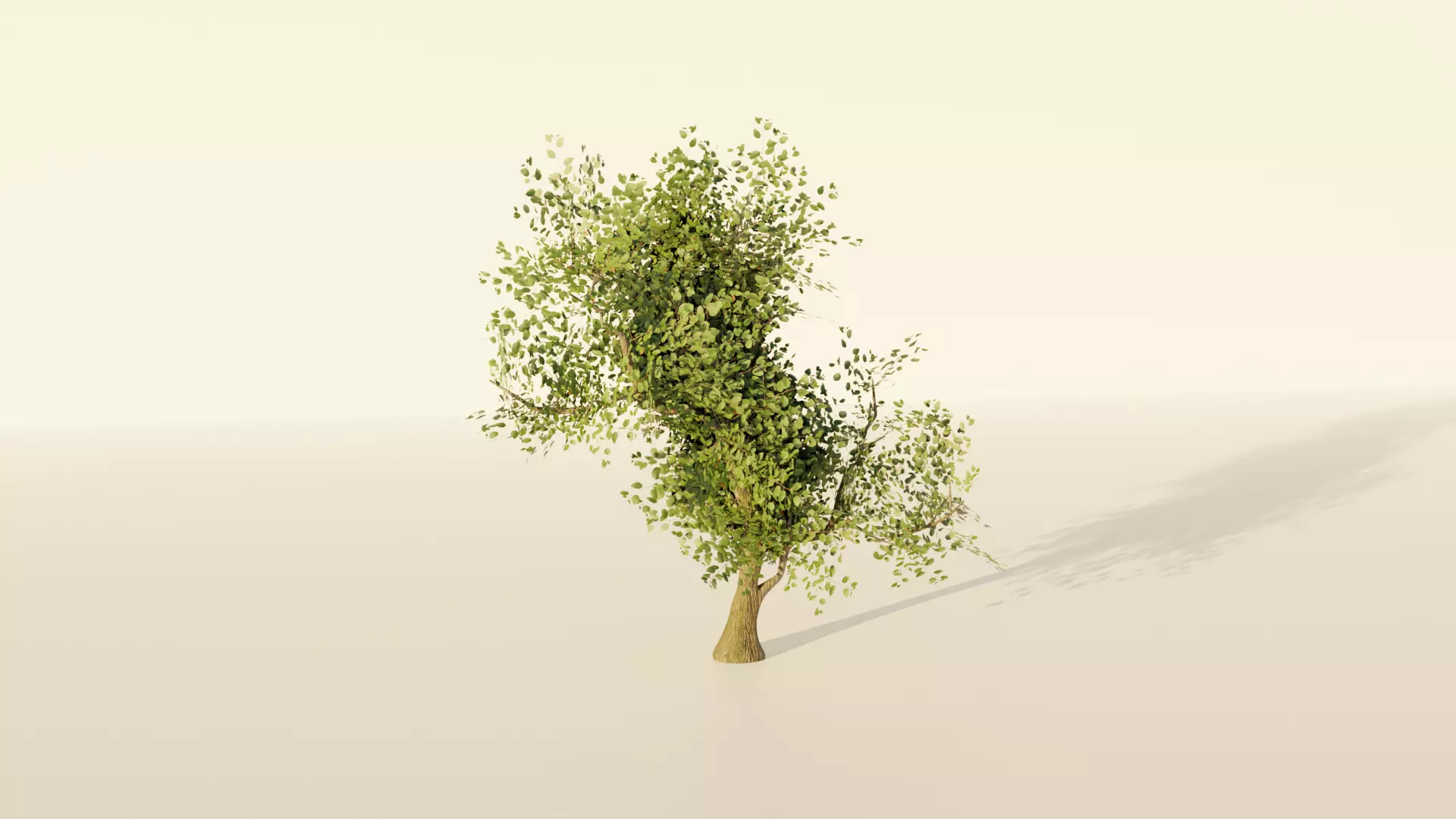 3D Tree Model Free 3D model_0
