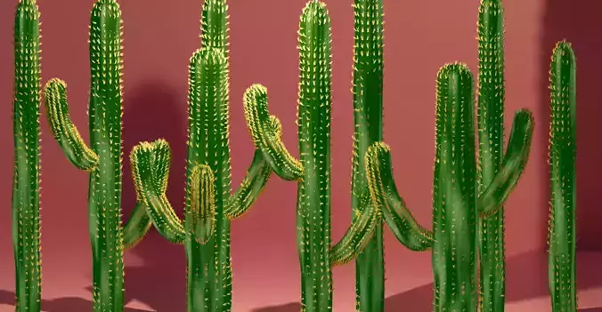 CACTUS MODELING IN BLENDER