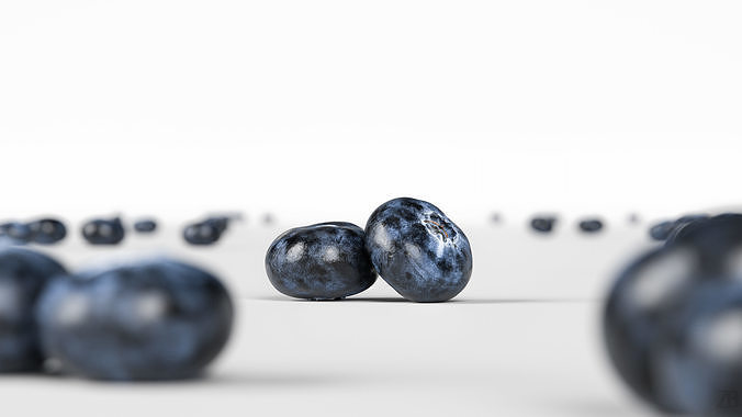 Blueberry 3D model 2