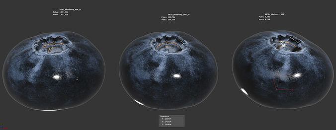 Blueberry 3D model 6