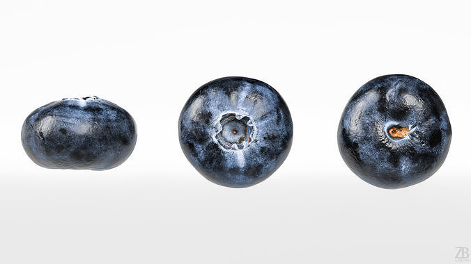 Blueberry 3D model 5
