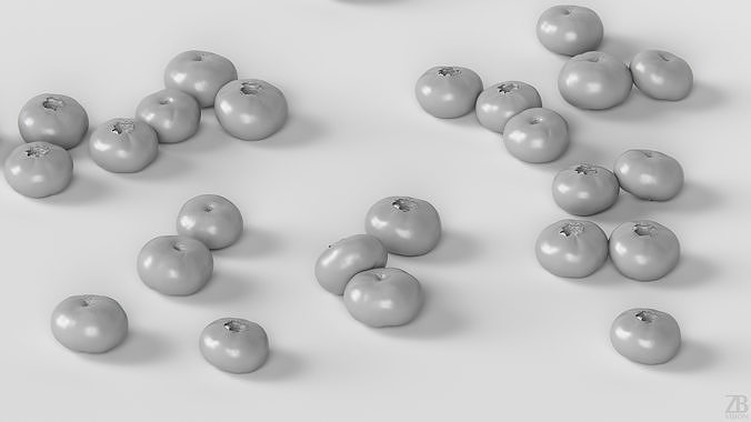 Blueberry 3D model 4