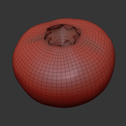 Blueberry 3D model 7