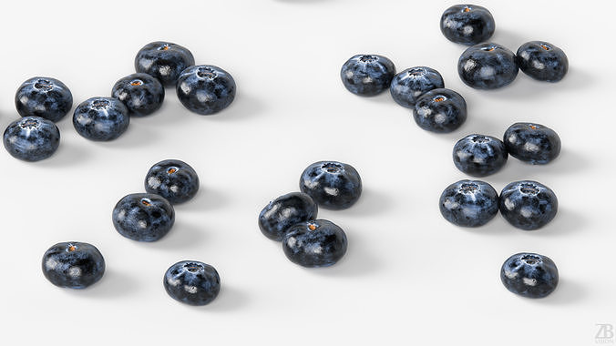 Blueberry 3D model 3