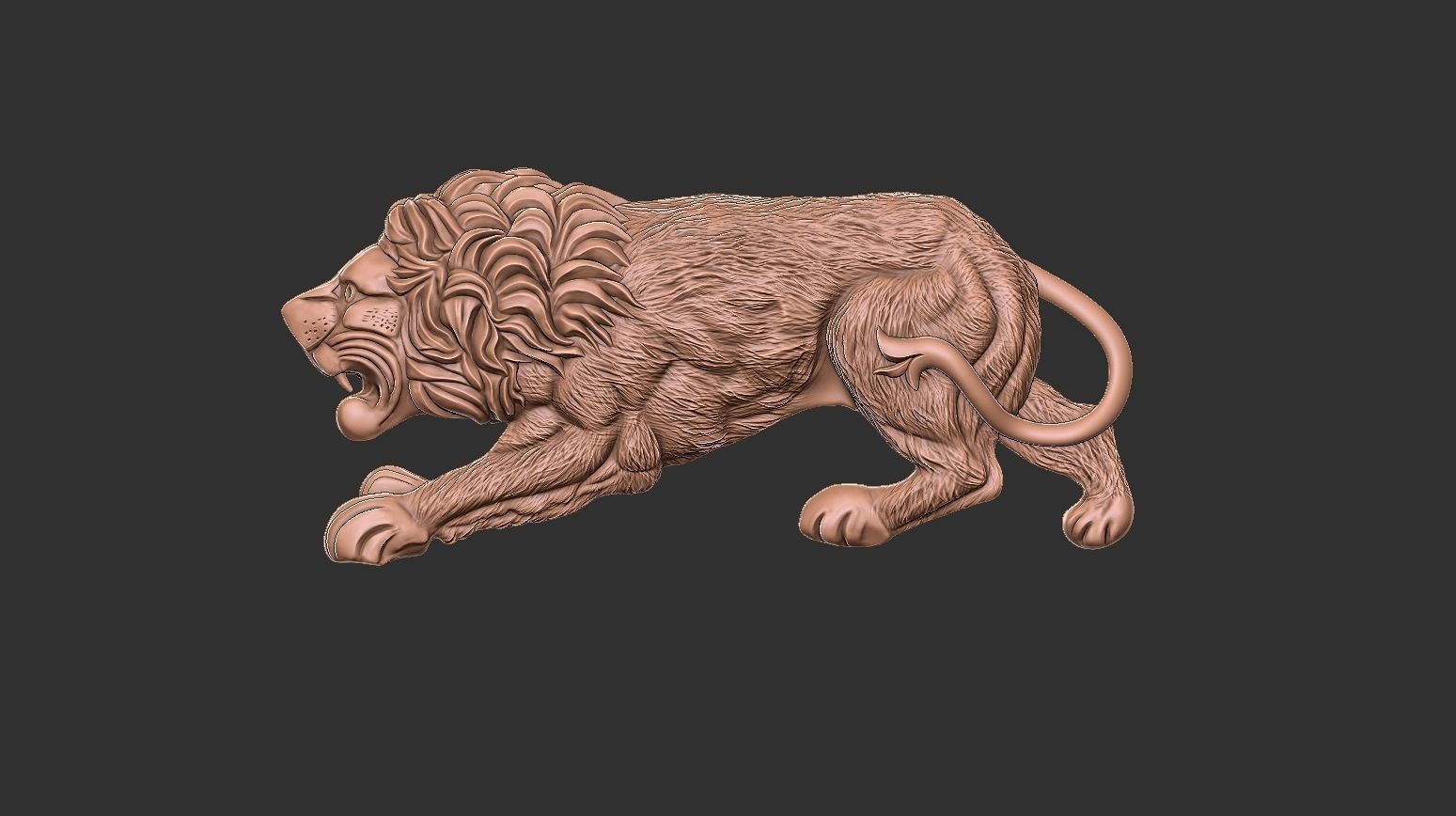 Lion money clip N4 3D print model_14