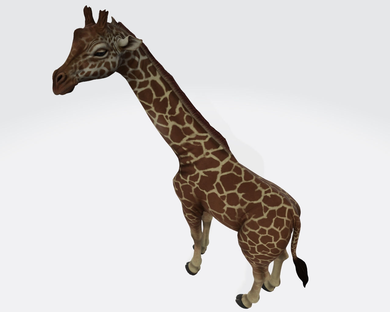Giraffe Animal 3D Model Ready to Print 3D print model_5