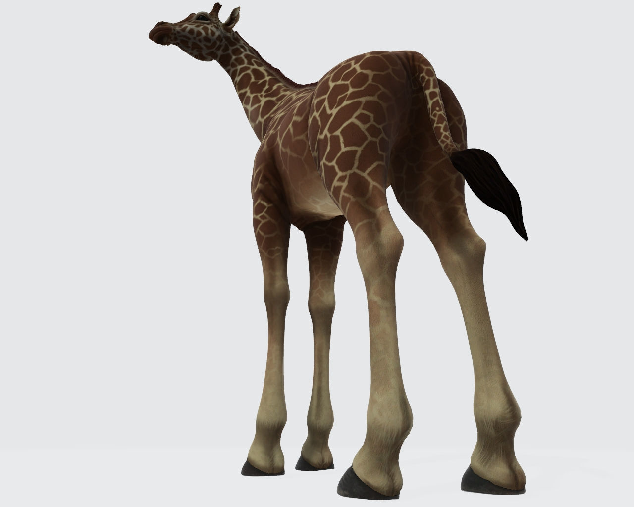 Giraffe Animal 3D Model Ready to Print 3D print model_6