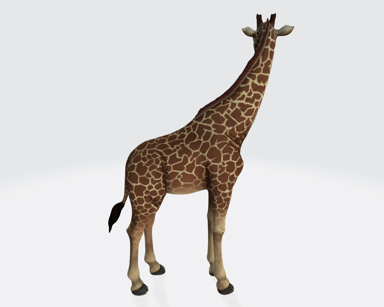 Giraffe Animal 3D Model Ready to Print 3D print model_3