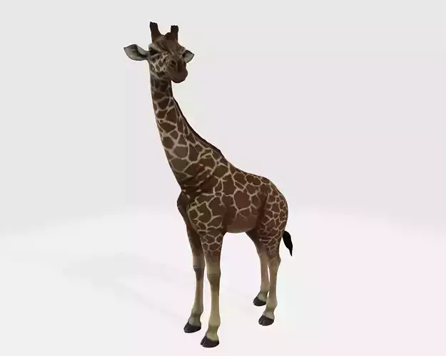 Giraffe Animal 3D Model Ready to Print 3D print model