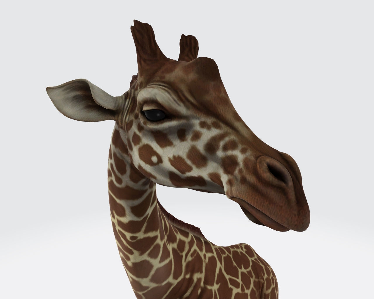 Giraffe Animal 3D Model Ready to Print 3D print model_4