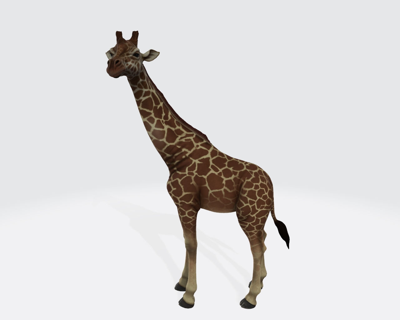 Giraffe Animal 3D Model Ready to Print 3D print model_1