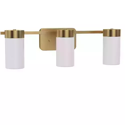 Progress Lighting Elevate Collection 3light Bathroom Vanity