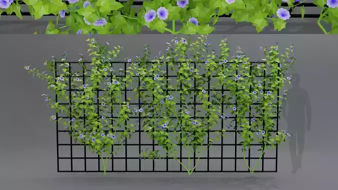 3d Flower Wall 3D model