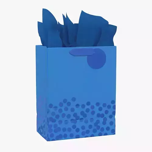 Hallmark 13 Large Gift Bag with Tissue Paper