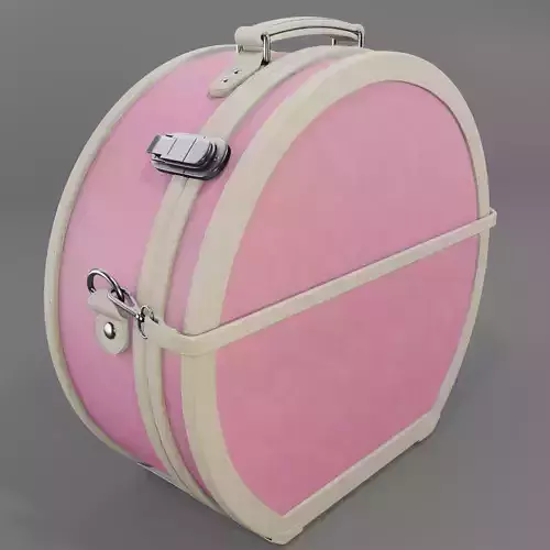 Entrepreneur Pink  Hatbox Large 