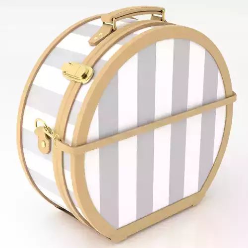 Illustrator Blue Hatbox Large 