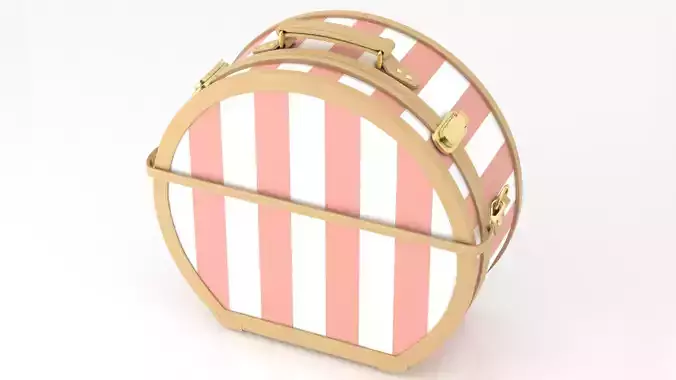 Illustrator Pink Hatbox Large 